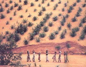 Postcards from Earth: World Photography